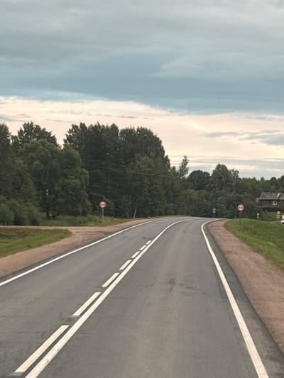 The image depicts a paved, two-lane road with white dashed lines marking the lanes, curving to the right. The road is bordered by a gravel shoulder on the right and a grassy area on the left. Dense, dark green trees form a thick line along the sides of the road. In the distance, a few houses with dark roofs are visible on the right. The sky is overcast with gray and pale blue clouds. There are no people or vehicles visible in the image. Two circular red and white traffic signs, one on each side of the road, are present. The sign on the left appears to be a "No Overtaking" sign for trucks, while the one on the right is partially obscured but also appears to be a prohibitive traffic sign. The scene suggests a rural or semi-rural setting in Гуляевка, Russia.