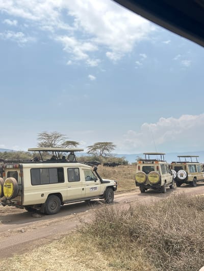 This image depicts a daytime safari scene in the Malanja Depression, Tanzania. Three beige safari vehicles, identified as modified Toyota Land Cruisers, are arranged in a convoy on a dirt track that curves slightly to the right. The sky overhead is light blue with scattered white cumulus clouds.

The lead vehicle, closest to the viewer, is a "LEOPARD TOURS" branded vehicle with Tanzanian license plate T 305 CC. Its pop-up roof is raised, revealing at least three occupants visible from the chest up, seemingly observing the surroundings. Two yellow spare tire covers with "LEOPARD TOURS" logos are mounted on the vehicle's rear. A snorkel is present on its front passenger side. Following this vehicle is a second "LEOPARD TOURS" vehicle, license plate T 775 GUJ, also with two rear-mounted spare tires. A third, similar safari vehicle trails in the distance.

In the middle ground, to the right of the lead vehicle and beyond the second, a herd of dark-colored Cape Buffalo is visible standing on the dry, light-brown savanna. The landscape features sparse, flat-topped acacia trees. Distant, hazy hills form the horizon line. The vehicles appear to be stationary or moving very slowly, indicative of a wildlife viewing activity.