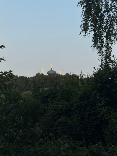 This is a vertical, outdoor photograph taken at dusk, likely in Пропан Снт, Russia. The scene is dominated by lush, dark green foliage, suggesting a heavily wooded or overgrown area. In the background, peeking through the dense greenery, is the dome of a building topped with multiple golden Orthodox crosses. The crosses are illuminated, standing out against the dusky sky. The sky itself is a pale blue, transitioning into twilight. The overall mood is serene and possibly spiritual, with the natural elements contrasting with the religious architecture. The image is clear, with good detail in the leaves and the crosses. No people or text are visible.