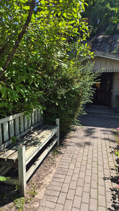 The image shows an outdoor scene with lush green foliage in the foreground, partially obscuring a wooden bench and a paved walkway. The walkway is made of rectangular stone pavers and is bordered by a strip of soil with scattered weeds. Behind the walkway, a portion of a building is visible, with a section that appears to be an open garage or entrance. The building has white wooden siding and decorative eaves.
To the left of the walkway and bench, a large bush or shrub with dense green leaves dominates the mid-ground. Sunlight filters through the leaves, creating dappled shadows. The overall impression is one of a sunny day in a garden or yard. The presence of the building and the paved walkway suggests a residential or public outdoor space. The time of day appears to be daytime, given the strong shadows. There is no visible text in the image. The location context provided is Jēkabpils, Latvia, which aligns with the appearance of a temperate climate garden setting.