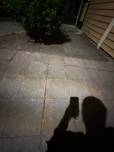 The image depicts a shadow of a person holding a phone, cast on a paved surface. The paved area appears to be an outdoor walkway or patio, made of rectangular concrete slabs. The lighting suggests it is nighttime, with a light source originating from the right, creating the distinct shadow. There is a dark, leafy bush to the left of the frame, partially in shadow. Above the paving, part of a building's soffit and fascia are visible, made of beige siding. The overall mood is dark and somewhat mysterious due to the low light conditions and the prominent shadow. There is no visible text in the image.
