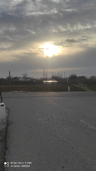 A low-angle landscape view with a gray, cloudy sky, the sun obscured yet its glare breaks through. A straight paved road runs along the right, showing signs of moisture. Parallel to the road is a strip of land with vegetation and sparse trees. Beyond that, the scene fades into a hazy distance with faint outlines of structures and poles. The scene is tinged with a muted, overcast quality.