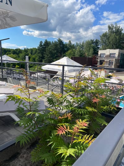 The image shows an outdoor seating area with white umbrellas and tables, suggesting a cafe or restaurant. Lush green foliage, with some reddish-pink leaves, grows in the foreground, partially obscuring the view of the seating area and a building under construction in the background. The sky is partly cloudy with bright blue patches, indicating daytime and fair weather. The overall scene appears peaceful and relaxed, possibly during pleasant weather for outdoor dining. Visible text on one of the umbrellas reads "THE GARDEN IS OPEN".