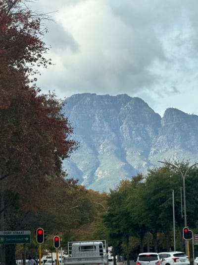 The image shows a street scene in Stellenbosch, South Africa. A large, rocky mountain looms in the background under a cloudy sky. The street is lined with trees, some with green leaves and others with autumnal brown foliage. A traffic light pole stands on the right side of the image with red lights illuminated. Cars are stopped at the light. A street sign is visible indicating the direction to Stellenbosch.