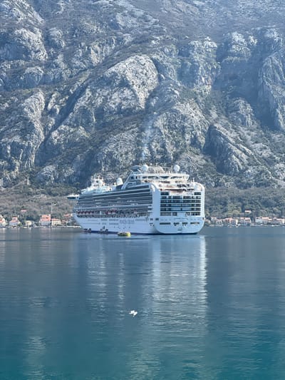A large white cruise ship, identified as "Princess Cruises" and "Regal Princess," is centrally positioned in calm, blue water within a bay near Bogdašići, Montenegro. The vessel features multiple decks, numerous balconies, and emits a plume of white exhaust from its funnels, indicating active propulsion. Two smaller tender boats, one yellow and one red/white, are docked alongside the ship's port side. In the foreground, two white seagulls float on the water's surface. The background features a narrow strip of shoreline with several clustered red-roofed buildings of the town, backed by a dominant, steep, and rugged grey mountain range with sparse green vegetation in its crevices, under a clear sky.