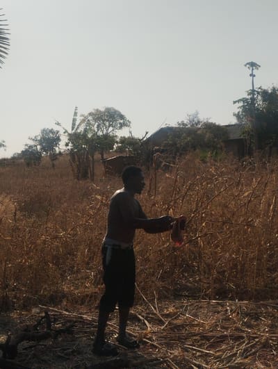 A shirtless man stands in a dry, sunlit field of tall, brown grass or corn stalks. He holds a red cloth or object in his outstretched hands. Behind him are scattered trees and what appears to be a simple building or dwelling. Debris, possibly cut branches or stalks, litters the ground near the man. The overall scene has a rural, possibly agricultural, setting.