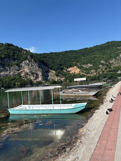 The image shows a serene view of a lake in Divic, Bosnia and Herzegovina, on a bright sunny day. The calm, greenish water of the lake gently laps against a pebbled shore, which is bordered by a red brick walkway. Several boats are moored near the shore, with the most prominent being a long, turquoise vessel with a white canopy supported by light blue poles. Other boats, varying in size and color, are docked behind it. The background is dominated by a lush green, tree-covered hillside that rises steeply from the lake, with a rocky cliff face visible on the left side. The sky above is a clear, vibrant blue. Several pigeons are scattered along the walkway and the shore, adding a touch of life to the tranquil scene. The overall impression is one of a peaceful, idyllic lakeside setting.