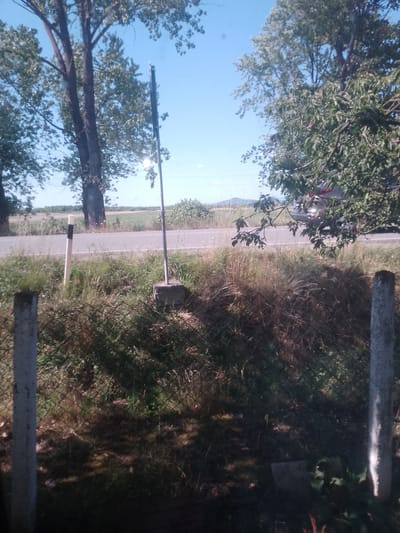 The image depicts a rural roadside scene. In the foreground, a chain-link fence runs horizontally, supported by two concrete posts. Beyond the fence, tall grass and brush dominate the ground. A road with white lines marking the lanes stretches across the middle ground, with a single lane visible. To the left of the road, a tall, slender pole with a black and white banded top stands near the roadside. A second, similar pole is visible further down the road.

In the background, large deciduous trees with full green foliage frame the scene, with one particularly large tree on the left and another on the right. Beyond the trees, a gently rolling landscape extends to the horizon, featuring fields of crops or vegetation. A light-colored vehicle is partially visible on the road, moving away from the viewer. The sky is clear and blue. The overall impression is one of a quiet, sunny day in a rural area. The location is identified as Rus'ka Dolina, Ukraine.
