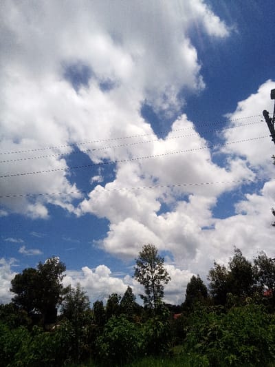 This image depicts an outdoor daytime scene in Nachu ward, Kenya. The upper two-thirds of the frame are dominated by a bright blue sky interspersed with numerous large, white cumulus clouds. Four distinct horizontal utility lines, appearing as dashed black lines, traverse the mid-sky. A dark-colored utility pole is partially visible on the far right, extending downwards from the top edge, likely supporting these lines. The lower third of the image consists of dense, green vegetation, including a variety of trees and bushy undergrowth. A subtle hint of a red-tiled roof structure is visible in the distant background, partially obscured by the foliage. No individuals or specific actions are present in the scene.