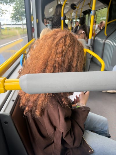A perspective from inside a bus in Eeklo, Belgium shows passengers traveling. The foreground is dominated by the back of a woman with long, curly, auburn hair. She is wearing a brown hooded jacket and light blue jeans. A gray bar, likely a handrail, runs horizontally across the frame in front of her. In the background, other passengers are visible, some standing and others seated. Yellow poles, typical of public transport, are present throughout the bus. Outside the window, trees and a body of water can be seen, suggesting a somewhat suburban or natural setting adjacent to the city. The lighting indicates it is daytime.