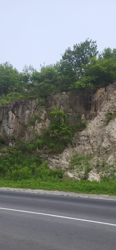 A roadside view in Slavyanka, Russia, features a steep, rocky embankment topped with dense green trees. The embankment is composed of layered stone with visible fractures and patches of vegetation growing amongst the rocks. A paved road with a white dividing line runs horizontally across the bottom of the frame, suggesting the location is adjacent to a thoroughfare. The sky above is overcast and light gray.