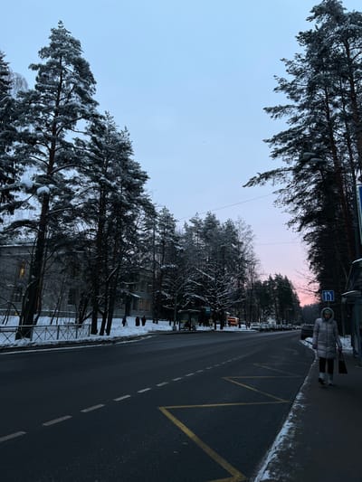 A street scene in winter, with tall pine trees lining the roadside, their branches laden with snow. The road is asphalt, marked with yellow zigzags and white dashed lines. A person in a puffy coat stands near a bus stop sign. The sky is a pale blue, transitioning to a soft pink horizon. Snow covers the ground and some of the surrounding buildings.