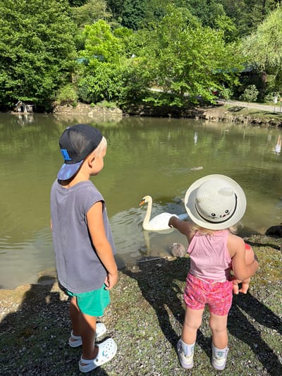 In Semenovka, Russia, two children are captured in a warm, sunlit outdoor scene near a body of water. A young boy, wearing a grey t-shirt, green shorts, a black baseball cap, and white Crocs with a blue design, stands looking upwards towards the water. Beside him, a younger girl in a pink tank top, patterned pink shorts, and white sneakers is reaching out towards a white swan swimming in the murky water. She wears a straw hat adorned with a smiling face. The water reflects the bright, verdant trees that line the bank, suggesting a lush, natural environment. The ground beside the water is covered in pebbles and dappled with sunlight and shadow, indicating it's a sunny day. The scene evokes a sense of gentle interaction between the children and the wildlife.