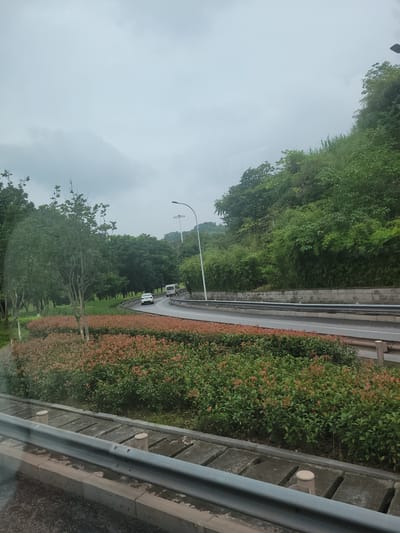 The image depicts a roadside scene, likely taken from a moving vehicle. The dominant feature is a winding road bordered by lush green foliage and ornamental shrubs with reddish-brown new growth. Several cars are visible on the road, suggesting traffic is present. A tall streetlamp stands on the left side of the road, indicating it's a developed area. The overall scene is serene, with a gentle curve in the road suggesting a natural landscape rather than a heavily urbanized environment. The sky is overcast and appears to be a light gray, implying a cloudy or possibly rainy day. The vegetation is dense, suggesting a temperate or subtropical climate. The image is oriented vertically, with the road and surrounding landscape running from the bottom right to the top left. The close-up perspective of the concrete barrier and railings on the right suggests the camera is positioned near the edge of the road or a viewing platform. The scene conveys a sense of travel through a green, possibly mountainous, area. The time of day is indeterminate due to the overcast sky, but it does not appear to be dawn or dusk.
