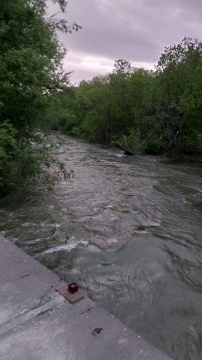 The image depicts a flowing river with lush green trees lining its banks. The sky above is overcast with a mix of purple and grey clouds. In the foreground, a concrete embankment is visible, with a rusted metal fixture attached to it. The river water is a murky green, with ripples and small waves indicating a moderate current. A fallen tree trunk is partially submerged in the river on the right side of the image. The scene appears to be a natural landscape within or adjacent to a populated area, given the presence of the embankment and fixture. The image does not contain any individuals or visible actions. The lighting suggests it might be dawn or dusk.