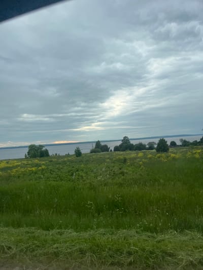 This image depicts a scenic outdoor landscape oriented vertically, suggesting it may have been taken with a mobile phone. The scene is divided into three distinct horizontal bands. The top portion is dominated by a cloudy sky, with wispy, elongated clouds stretching across a pale blue expanse. A sliver of sunlight breaks through the clouds on the left side, creating a bright streak.

The middle band is a body of water, likely a lake or river, reflecting the sky and appearing calm. Along the far edge of the water, a line of trees and some indistinct structures, possibly houses, are visible, hinting at a rural or semi-rural setting.

The rightmost and largest band of the image is a lush green field, densely populated with tall grass and some smaller wildflowers. The grass appears somewhat wild and untamed, with variations in texture and height. Some trees are scattered within this grassy area, and a few are also seen along the treeline by the water.

The overall impression is one of a serene, natural environment, possibly captured during the late afternoon or early evening due to the soft quality of the light and the subdued colors in the sky. The location is identified as Kryukovo, Russia, which aligns with the landscape elements. No people or specific objects are clearly identifiable, and there is no visible text in the image. The scene evokes a sense of peace and tranquility.