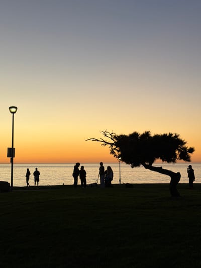 Silhouettes of people, a tree, and lampposts stand against a gradient sky and a strip of water. The scene is sharply divided between a dark foreground of grass and a lighter background. Several people are gathered near the center, some appearing to stand or walk. The tree leans towards the water. One individual stands alone at the edge of the image, near the top.