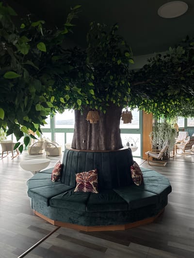 This image depicts an interior lounge area, possibly a hotel or resort common space, located in the city of Баня, Bulgaria. The central feature is a large, artificial tree with a thick trunk and dense green foliage that spreads across the dark green ceiling. An octagonal seating arrangement in dark green velvet upholstery with a wooden base encircles the tree trunk, adorned with three patterned throw pillows. Two decorative elements, resembling woven straw lanterns, hang from the tree's branches.
To the left, beyond the central seating, are two light-colored, contemporary woven armchairs with high backs and a white mushroom-shaped side table. Further left, a light-colored rocking chair is partially visible. The background consists of large, floor-to-ceiling windows with light green frames, offering a view of a calm body of water, likely a lake or reservoir, with a distant landmass or mountains under an overcast sky.
On the right side of the image, additional seating areas include several lounge chairs or recliners with striped fabric, positioned near more hanging white artificial plants. The floor is covered with light gray, wood-effect planks. A circular recessed light fixture is visible on the dark green ceiling in the upper right quadrant. The scene is devoid of people.