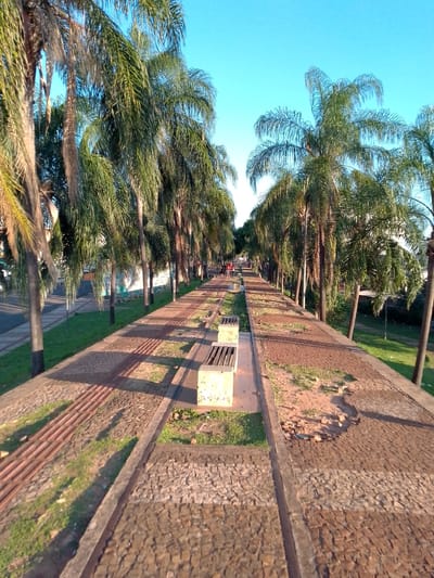 This image captures a long, tree-lined urban pathway in Campo Grande, Brazil, viewed from an elevated perspective looking down its length. The scene is illuminated by low-angle direct sunlight, casting distinct, elongated shadows across the ground, characteristic of early morning or late afternoon.

The pathway is bordered on both sides by numerous tall palm trees with green and some brown fronds. The central pedestrian area features a wide, paved surface primarily composed of reddish-brown cobblestones or pavers, with occasional patches of exposed dirt and sparse green grass. A narrow concrete curb divides the pathway longitudinally. Embedded within the paved surface, particularly along the central divide, are rectangular sections of reddish, ribbed material, consistent with tactile paving or drainage elements.

Two light-colored concrete benches with slatted tops are visible on the left side of the central pathway, oriented perpendicular to the path's direction. In the far distance along the pathway, several indistinct human figures are discernible, with one individual clearly wearing a red upper garment, walking away from the camera.

To the left of the pathway's palm trees, an asphalt road with visible vehicles runs parallel to the path. Beyond the road and partially obscured by trees, a building wall displays colorful graffiti or mural art. To the right of the pathway's palm trees, the ground slopes downwards into a grassy area, where a light pole is visible in the mid-ground. The sky above is uniformly clear and light blue.