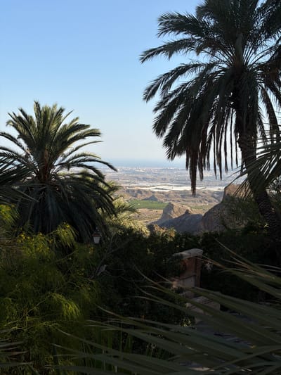 This photograph captures a scenic vista from a vantage point within Sierra Alhamilla, Spain, looking out towards a coastal plain and the sea. In the foreground, lush palm trees dominate the frame, their fronds casting shadows. To the left, a larger palm tree stands prominently, its dense foliage partially obscuring the view. To the right, another palm tree, silhouetted against the sky, frames the scene.

Beyond the immediate foliage, the landscape unfolds into a valley with a distinctive topography. Rocky outcrops and arid terrain characterize the middle ground, with hints of green vegetation in some areas. Further in the distance, a sprawling urban area stretches towards the horizon, meeting the vast expanse of the sea. The sky is a clear, pale blue, suggesting a bright and sunny day.

The image is composed with the foreground elements of the palm trees serving as natural framing for the panoramic view of the valley, the city, and the sea. There are no people or animals visible in the scene. The overall impression is one of a tranquil, expansive landscape offering a glimpse of both nature and human habitation.