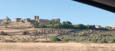 The image shows a view of the city of Oropesa, Spain, from a distance, likely from a car as a portion of the car's interior is visible in the upper right corner. The foreground is dominated by dry, golden-brown fields of vegetation. The midground features a hillside covered in numerous olive trees, with terraced fields and some scattered greenery. Dominating the background is a prominent castle complex situated on a hill, with several towers and stone structures. To the left of the castle, a church or religious building with a dome is visible. The sky is clear and blue, indicating a sunny day. The overall scene depicts a historic Spanish town set against a rural landscape.