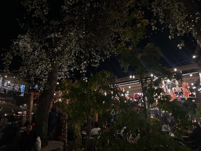 The image depicts a nighttime outdoor social gathering in Santa Cruz Aquiahuac, Mexico. The scene is illuminated by numerous strands of string lights, including globe-style bulbs and smaller fairy lights, suspended overhead across a visible wooden pergola structure. A mature tree with light-colored foliage dominates the upper-left, its trunk prominent in the mid-left. Another tree with darker green leaves is situated in the foreground on the right. Below the illuminated canopy and structures, multiple individuals are seated at tables, predominantly in the lower-left and central-right portions of the frame, engaged in social interaction. One woman in the lower-left foreground is partially visible, facing forward. Hanging from the overhead structures are numerous colorful, decorative items resembling piñatas or festive lanterns in various shapes and hues (e.g., red, white, blue, multi-colored). A building or vendor stall, also lit, is visible in the background on the far left. The overall environment suggests a festive outdoor dining or market area.