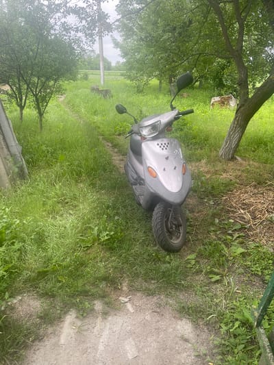 A silver scooter is parked on a dirt path, surrounded by overgrown green grass and trees. The path appears to be in a rural area, possibly a yard or garden. The scooter is positioned facing forward, with its front wheel visible. The background shows more trees and greenery, suggesting a natural or uncultivated environment. A utility pole is visible in the distance. The sky is overcast. This scene is located in Novyi Tahamlyk, Ukraine.