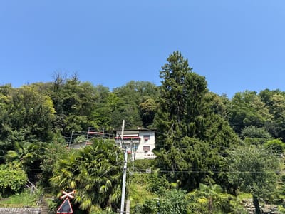 This image captures a daytime view of a hillside in Caslano, Switzerland, characterized by lush vegetation and a residential structure. A light-colored house with red-trimmed windows and flower boxes is visible on the hillside, partially obscured by a large evergreen tree and palm-like plants. Scaffolding is erected on the left side of the house. A utility pole with wires runs vertically in the foreground. A red and white railroad crossing sign is positioned at the bottom left, near a set of stone steps leading uphill. The sky is clear and blue.