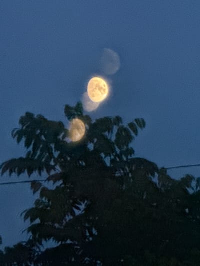 A dark blue, twilight sky with multiple blurry orbs of light, possibly the moon, is visible above a dark, silhouetted tree. One orb, brighter and more defined, appears to be the moon itself, with a yellowish hue. Other, fainter orbs are scattered around it, suggesting a lens flare or an optical illusion. The tree's branches and leaves are dark and indistinct, creating a stark contrast against the lighter sky. A thin, dark line, possibly a power line, runs horizontally in the lower part of the image. The image was taken in Beryozovsky, Russia, likely at dusk.