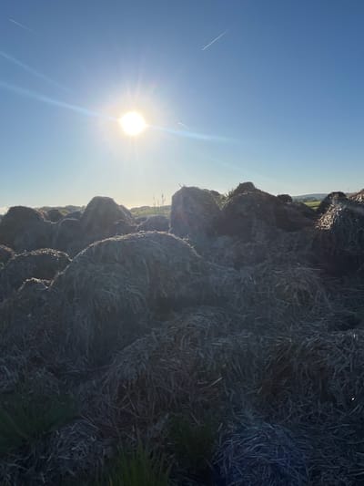 The image shows a stack of hay bales in a field in Reckange-sur-Mess, Luxembourg. The hay bales are densely packed and fill the right side of the image. The sky is bright blue with the sun visible in the lower left corner. A vapor trail is visible in the upper left sky. Some greenery is at the base of the hay bales.