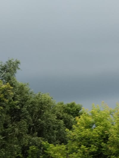 The image shows a cloudy sky above a line of trees. The trees are mostly green, with some areas appearing yellow or lighter green. The sky is a uniform gray color, indicating overcast conditions. The image appears to be taken outdoors, likely in a natural setting with vegetation. There are no visible people or structures in the image. The overall impression is one of a natural landscape under a cloudy sky. There is no information within the image to suggest it is located in the city of Urkovo, Russia.