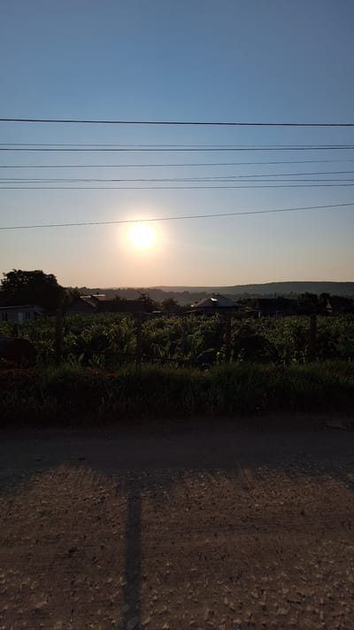 A rural landscape scene is captured in Sărata-Galbenă, Moldova, under a clear, pale blue sky with the sun low on the horizon. The sun, a bright, luminous orb, is positioned in the upper-middle section of the frame, casting a warm, soft light. Five parallel power lines stretch horizontally across the sky.
Below the sky, the middle ground features a village with several houses, their roofs visible amidst lush green vegetation. A fence, constructed from wooden posts and wire, separates a cultivated field from the foreground. The field is densely planted with crops, possibly corn, with tall stalks reaching upwards. A large tree with dark foliage is situated to the left of the frame, near the houses.
The foreground is a dirt road with visible pebbles and tire tracks. The road is partially in shadow, with a distinct shadow of an unseen object falling across it from the left. The overall impression is one of a tranquil, late afternoon or early evening in a rural setting. No people or animals are visible in the image.