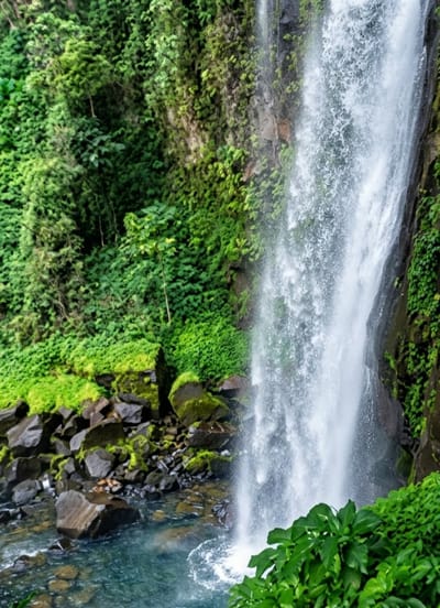 This media file depicts a lush, tropical waterfall cascading down a rocky cliff face. The scene is dominated by vibrant green foliage, with dense vegetation clinging to the rocks and surrounding the base of the falls. Large, dark rocks are scattered in the foreground, some covered in moss, and a pool of clear, blue water reflects the surrounding greenery. The waterfall itself is a powerful torrent of white water, illuminated by daylight. The overall impression is one of natural beauty and serenity, evoking a sense of a remote, untouched wilderness. There are no people or visible text in the image. The setting appears to be a natural landscape, likely a rainforest given the dense vegetation and the presence of a waterfall. The time of day appears to be daytime, with natural light illuminating the scene. The weather is likely humid and possibly rainy, typical of a rainforest environment that supports such abundant plant life and flowing water.