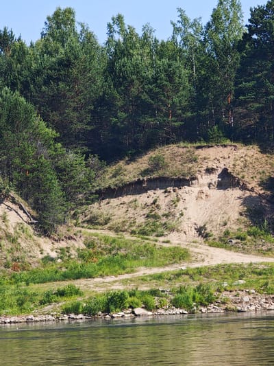 An outdoor, medium shot captures a riparian scene adjacent to a dense forest on a clear day. In the foreground, the water of a river reflects the light, rippling slightly. The riverbank is lined with small rocks and green grass, with a dirt path winding up a sandy embankment in the mid-ground. The embankment is eroded in places, revealing layers of soil and exposed roots. Behind the embankment, a thick forest of pine and birch trees dominates the background, their green foliage contrasting with the pale blue sky. The image does not contain any people or animals.