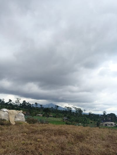 This image depicts a rural landscape in Ngọc Tụ, Vietnam, under a uniformly overcast sky. The foreground consists of dry, brown, and yellowish grassland. To the far left, several light-colored sacks are stacked, partially covered by a piece of beige fabric. The midground features a valley with green agricultural fields, interspersed with numerous trees and several small, simple structures possessing dark roofs. A dense band of green trees extends across the middle distance, leading to a range of dark blue-grey mountains in the background, partially obscured by the prevailing cloud cover. No individuals or specific actions are visible within the frame.