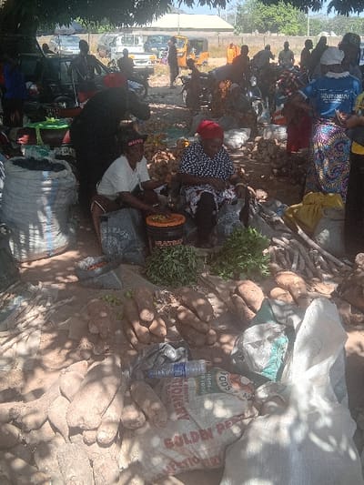 The image depicts an active open-air market in Gurku Gwari, Nigeria, illuminated by bright daylight with dappled shadows from overhead foliage. In the immediate foreground, numerous large, light-brown tubers, resembling yams or cassava, are piled directly on the dirt ground. Adjacent to these, several large sacks, some white (one partially marked "GOLDEN PE**") and grey, filled with goods, are positioned. A clear plastic water bottle rests on one of these white sacks.
Two women are seated on the ground in the mid-foreground, engaged in processing market produce. The woman on the left wears a white short-sleeved top and a red headscarf, actively working over an orange bucket containing prepared items. The woman on the right, also with a red headscarf, wears a patterned blue and white top and dark skirt. Bundles of green leafy vegetables are visible on the ground between them. Behind these seated individuals, another person in dark attire is bending over, attending to items on the ground.
The background reveals a bustling scene with numerous individuals walking and standing. A dirt road is visible, populated by various vehicles including multiple cars, a white pickup truck, and at least two yellow motorized tricycles (Keke Napep). A low, light-colored wall and distant buildings are present under a clear sky. The overall environment suggests a vibrant commercial area.