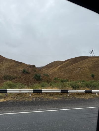 The image depicts a rural landscape near Semyonovka, Armenia, viewed from a vehicle. The foreground features a section of asphalt road with a single white lane marking, bordered by a white and black striped metal guardrail. Behind the guardrail, dry, brown grass and sparse green shrubs are visible. The midground and background are dominated by undulating hills covered in predominantly dry, golden-brown grass and scattered low-lying green vegetation, suggesting a dry or autumnal environment. A valley recedes between the hills on the left. Across the scene, power lines stretch horizontally. On the crest of a hill in the upper right, a large metal lattice transmission tower or pylon stands. The sky is uniformly overcast and grey, indicating a cloudy day. No people, animals, or other vehicles are visible.