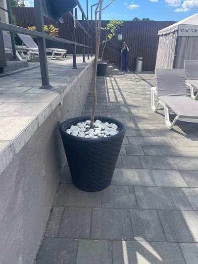 In Zazymia, Ukraine, a paved outdoor area features a large black planter filled with white decorative stones and a small tree. A dark metal railing runs along a raised concrete planter edge. In the background, several white lounge chairs with grey cushions are visible, as well as a white tent structure with the word "МАССАЖ" (Massage) in black lettering on its side. A woman in a dark blue jumpsuit stands near a wooden fence, holding a phone to her ear. Sunlight casts shadows across the paved surface.