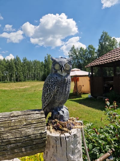 A close-up, eye-level outdoor shot features a decorative owl statue positioned prominently in the foreground, mounted on a weathered white wooden post. The owl, made of dark grey material with detailed feather imprints, has large, reflective, disc-like eyes. The post is adorned with dried flowers and grasses. A weathered wooden fence rail runs horizontally across the lower left of the frame.
The background reveals a lush green field stretching towards a dense line of tall, slender trees. Beyond the field, to the right, are outdoor structures: a dark brown wooden gazebo with a tiled roof and a lighter colored tent-like structure with orange trim. The sky is a vibrant blue, dotted with fluffy white clouds. The overall scene depicts a sunny day in a rural or park-like setting, possibly a garden or recreational area. The location is identified as Rikava, Latvia. No people are visible in the image.