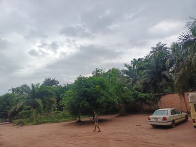 The media file captures a scene in Amurie, Nigeria, under a cloudy sky, suggesting it is either early morning or late afternoon. The ground is composed of reddish-brown dirt, with tire tracks indicating recent vehicle activity.
In the foreground, a young boy is walking from left to right. He is wearing a short-sleeved, patterned shirt and beige shorts, with dark sandals.
To the right of the frame, a light-colored sedan is parked on the dirt. The car appears slightly weathered. Behind the car and extending to the left is a brick wall, likely part of a compound. Beyond the wall, lush green vegetation dominates the scene, with numerous palm trees and other tropical foliage. A large, leafy tree stands prominently in the middle ground.
The overall atmosphere is tranquil and rural, typical of a Nigerian setting. The cloudy weather suggests a possibility of rain. No specific event is clearly depicted, but the presence of the car and the boy suggests daily life activities. The license plate of the car is partially visible, reading "FSY 508AU".