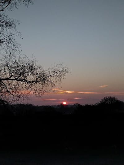 The image depicts a rural landscape during either sunrise or sunset, characterized by low light conditions. The scene is likely located within or near the New Forest, United Kingdom. The upper two-thirds of the frame are occupied by a sky exhibiting a gradient from pale blue-grey at the zenith to pink, orange, and purple hues near the horizon, indicative of crepuscular light. A distinct, circular, reddish-orange sun is visible just above the distant horizon, positioned slightly to the right of the vertical center line. Sparse, elongated cloud formations are present, particularly in the mid-sky, absorbing and reflecting the sun's light.
In the upper left quadrant, silhouetted, bare tree branches extend from the frame's edge, traversing downwards and towards the center, suggesting a leafless deciduous tree. The intricate network of branches and twigs lacks foliage. Below the horizon, a dark, undulating silhouette of a dense tree line or forest obscures the distant landscape, rendering specific details indistinguishable. The lower third of the image is dominated by an almost completely black foreground, representing shadowed ground or very dense, undifferentiated vegetation. No people, animals, or man-made structures are discernible within the frame. The overall atmosphere is one of natural tranquility during twilight.