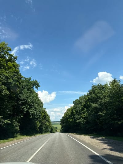 The image depicts a view from a vehicle traveling on a paved road through a wooded area. The road has white lane markings and a gravel shoulder. On either side of the road are dense green trees, with the foliage of some trees extending over the road. The sky above is blue with scattered white clouds. In the distance, beyond the trees, a field can be seen. The scene is outdoors, during the daytime, under clear weather conditions. There are no people or specific landmarks visible that would indicate a particular location within the city of Подлесный, Russia.