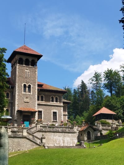 The image depicts a picturesque scene of a stone castle in Bușteni, Romania, on a bright, sunny day with a blue sky dotted with white clouds. The castle, constructed from rough-hewn stone, features a prominent square tower with arched windows and a red-tiled roof. Adjacent to the tower, a longer section of the castle also sports a red-tiled roof.
In front of the castle, a grand stone staircase with ornate balustrades leads up to an entrance. The area around the staircase is adorned with potted plants filled with colorful flowers, adding vibrant accents to the stone architecture. On the upper terrace of the staircase, several people are visible, suggesting the castle is open to visitors. One person wears a white hat, and others are casually dressed, enjoying the scenery.
To the right of the main castle structure, there is a smaller, quaint stone building with a red-tiled roof and a dark wooden door, adding to the charm of the estate. Further up the hill, another covered structure with a red-tiled roof and open sides, possibly a gazebo or a lookout point, is nestled amongst lush green trees. The surrounding landscape is characterized by a well-maintained, vibrant green lawn in the foreground and a dense forest of tall, mature trees in the background, indicating a mountainous or hilly terrain typical of the Carpathian Mountains.
The overall atmosphere is serene and inviting, conveying a sense of historical grandeur and natural beauty. The clear sky and bright sunlight suggest it is midday. There is no visible text in the image.