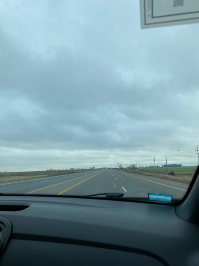 The image, taken from the perspective of someone inside a vehicle, shows a cloudy day on a highway. The highway has two lanes in each direction, separated by a yellow line. The surrounding landscape appears to be rural, with fields on either side of the road and a line of trees in the distance. Power lines and poles are visible along the right side of the road. There is a blue and white sticker on the dashboard of the vehicle. In the far distance, there appear to be some vehicles on the highway, including what looks like a red truck in the left lane. The location is specified as being in the city of Zavalla, Argentina.