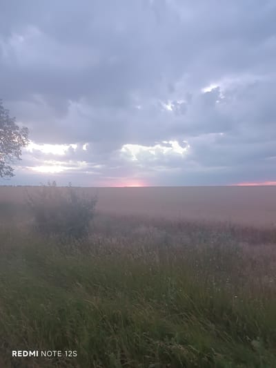 This is a vertical, full-shot photograph taken in Gaidar, Moldova. The image captures a field under a cloudy sky during what appears to be sunset. The sky is filled with dramatic clouds, ranging in color from deep gray to lighter shades, with patches of sunlight breaking through. A faint pink and orange hue is visible on the horizon, indicating the sun is low. In the foreground, tall grass and some shrubbery are visible, with a hint of a tree on the left side of the frame. The overall atmosphere is serene and slightly melancholic, typical of a cloudy sunset. The text "REDMI NOTE 12S" is visible in the bottom left corner of the image.