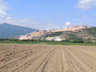 A wide, low-angle outdoor shot captures a rural agricultural landscape under a bright, partially cloudy blue sky. In the foreground, a freshly tilled brown field stretches towards the horizon, marked by distinct rows of tire tracks and black irrigation hoses laid across the soil. Beyond the field, a strip of green vegetation separates it from a distant, rugged, multi-layered hillside. The hillside is predominantly covered in sparse green bushes and trees, with a prominent, exposed rock face revealing layers of light brown, orange, and white stone. The top of the hillside is a sheer, jagged cliff face with visible signs of quarrying or erosion. In the far distance, a faint outline of a mountain range is visible on the left. The scene appears to be set in the vicinity of Kurtovo Konare, Bulgaria, a region known for its agricultural production and mountainous terrain. There are no people or animals visible in the image.