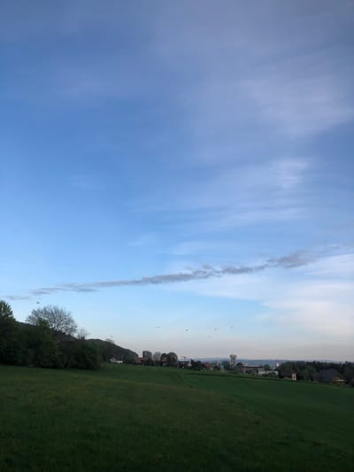 The image presents a broad landscape view, with the sky dominating the upper two-thirds of the frame. The sky transitions from a lighter, almost white-blue on the right to a deeper, more saturated blue on the left, with soft, wispy clouds scattered throughout. A prominent feature in the sky is a long, dark, and sinuous trail, resembling a dissipating contrail or smoke plume, stretching diagonally from the mid-left towards the upper-right. Several small, dark bird silhouettes are visible in flight against the lighter part of the sky on the right.

The lower third of the image shows a vibrant green field, suggesting pastureland or cultivated grass. A line of trees and bushes forms a natural boundary between the field and the distant horizon. Some trees appear to have bare branches. Beyond these trees, the landscape reveals a distant town or village with various buildings and structures, including what looks like a tall tower or chimney. Gently undulating hills or mountains are visible in the far background behind the distant settlement.

The lighting suggests either late afternoon or early evening, characterized by soft, diffuse light without harsh shadows. The overall scene conveys a serene and expansive natural setting, located in Kehrsatz, Switzerland. No visible text is present in the image.