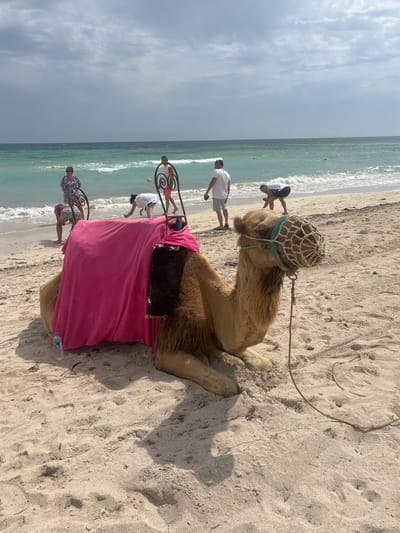 This detailed description outlines a beach scene in Taguermess, Tunisia.
In the foreground, a light brown dromedary camel is resting on the pale tan sand, facing towards the right side of the frame. A bright pink blanket is draped over its hump, extending down its sides. A dark brown, textured saddle pad is visible beneath the pink blanket on the camel's right flank. A decorative metal frame, likely part of a saddle or seating structure, rises above the pink blanket. The camel's head is fitted with a green bridle and a light brown, mesh muzzle. A rope leash extends from the bridle to the sand. A plastic water bottle with a blue cap rests on the sand to the left of the camel. The sand shows various footprints and small scattered debris.
In the midground and background, the turquoise ocean meets the sandy shore with gentle waves. Several yellow spherical buoys float in the shallow water. Five individuals are present near the water's edge:
* To the far left, partially obscured by the camel's saddle structure, a person wearing patterned shorts is bending over near the water.
* Adjacent to them, a woman in a white and blue patterned dress, wearing sunglasses, stands near the water's edge, looking towards the left.
* Further to the right, a man in a white t-shirt and light grey shorts stands, holding a dark object in his hands, facing left.
* Next to this man, a person in a white t-shirt and dark shorts is bending forward, looking down at the sand at the waterline.
* To the far right, a man in a white t-shirt and pink or orange shorts stands partially in the shallow ocean water, with his back mostly to the viewer, facing the shoreline.
The sky above is partially cloudy, featuring a mix of lighter and darker grey cloud formations.