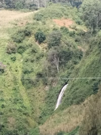The image displays a steep, heavily vegetated valley or gorge located in Subukia ward, Kenya, under natural daylight. A distinct waterfall descends approximately two-thirds down the right side of the frame, emerging from a concealed point within the dense foliage on the upper slope. The valley walls are predominantly covered with lush, dark green broadleaf vegetation, interspersed with lighter green grassy areas. Patches of drier, yellowish-brown vegetation, possibly dormant crops or tall grass, are present on the upper left and lower right portions of the slopes. A noticeable reddish-brown patch of exposed earth is visible on an upper-mid slope, indicating soil exposure or erosion. Two thin, dark horizontal lines, consistent with utility wires, span the mid-section of the valley, passing above the waterfall. No human figures or animal subjects are present within the scene.