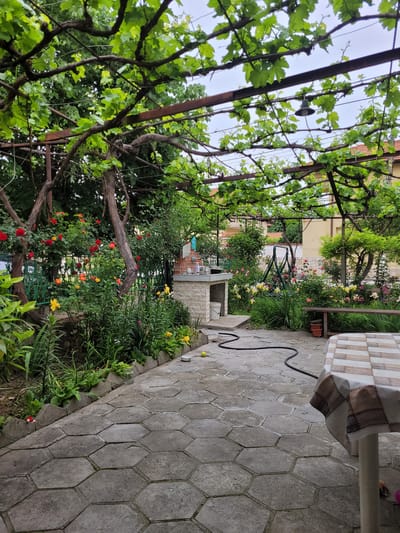 The image shows a garden in Chuchuligovo, Bulgaria, with a stone-paved patio area. A metal pergola covered in grape vines dominates the left side of the frame. A garden with various flowers, including red and yellow roses, lines the patio's edge. Further back, a swing set and a building are visible through the foliage. A table with a patterned tablecloth occupies the top right corner, and a black hose is draped across the patio stones. The sky is overcast.
